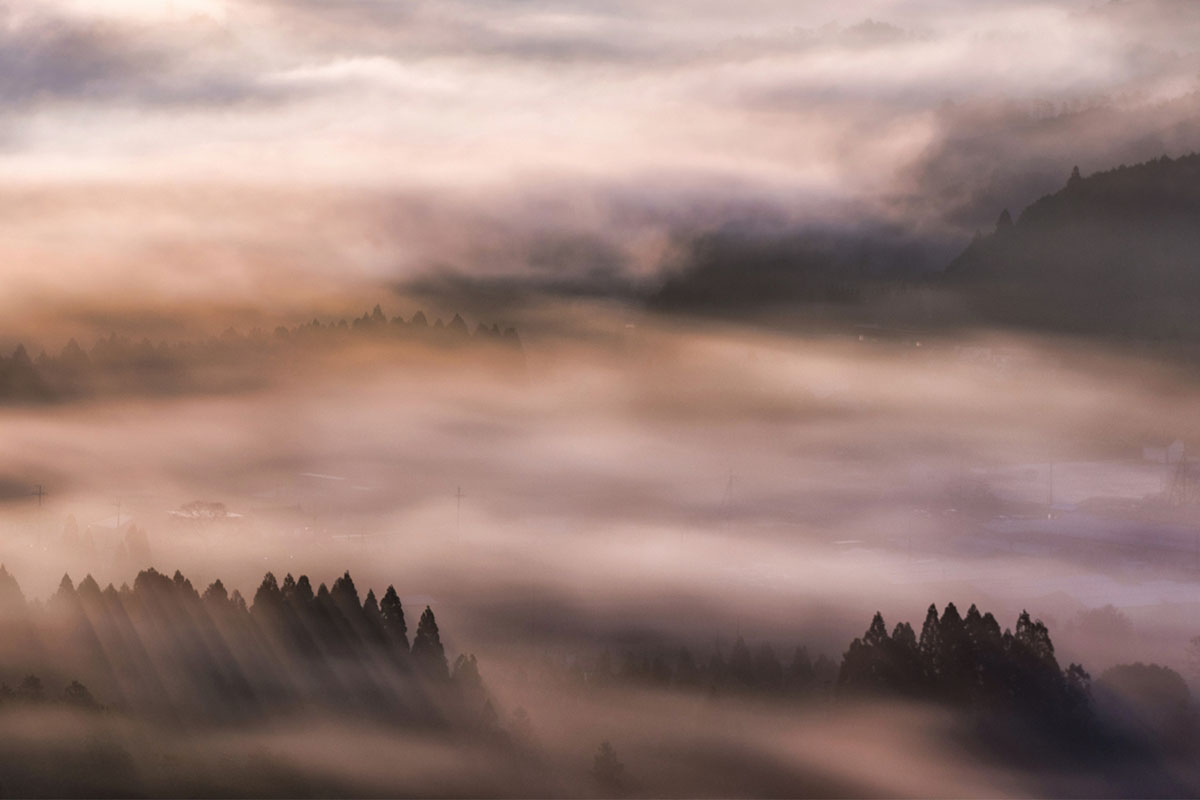 雲海
